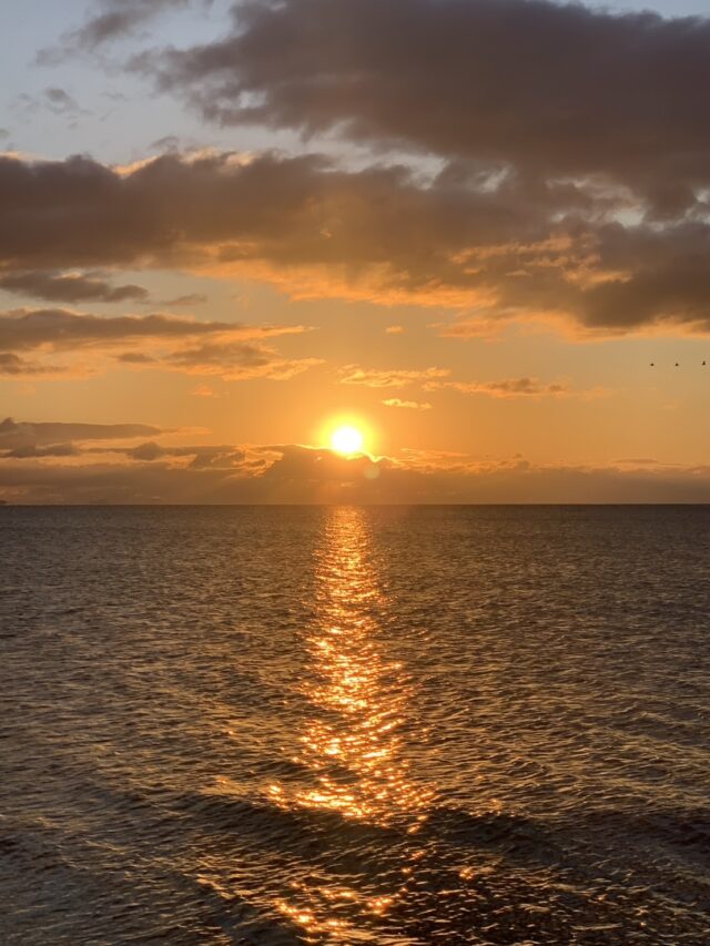 朝日 - 新年あけましておめでとうございます。